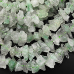 Natural Green Phantom Quartz Rough Raw Nugget Chips Center Drilled Hand Hammered Beads 15.5" Strand