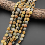 Natural Owyhee Picture Jasper Beads 12mm Coin Beads 15.5" Strand