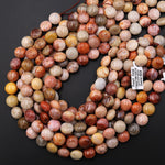 Natural Orange Red Yellow Fossil Coral Beads Coin 14mm Gemstone 15.5" Strand