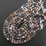 Natural Black Moonstone 8mm Square Cube Beads 15.5" Strand