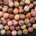 Natural Orange Red Yellow Fossil Coral Beads Coin 14mm Gemstone 15.5" Strand