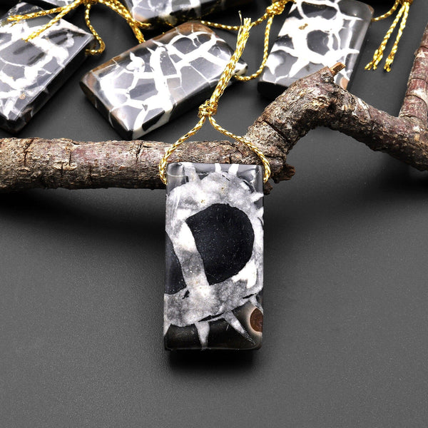 Natural Septarian Fossil Rectangle Pendant A1