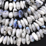 Large Natural Rainbow Moonstone w/ Black Tourmaline Freeform Rondelle Disc Center Dilled Beads 15.5" Strand