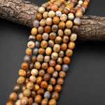 Natural Golden Brown Gray Fossil Coral Beads Freeform Pebble Nuggets 15.5" Strand