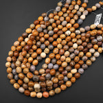 Natural Golden Brown Gray Fossil Coral Beads Freeform Pebble Nuggets 15.5" Strand