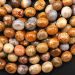 Natural Golden Brown Gray Fossil Coral Beads Freeform Pebble Nuggets 15.5" Strand