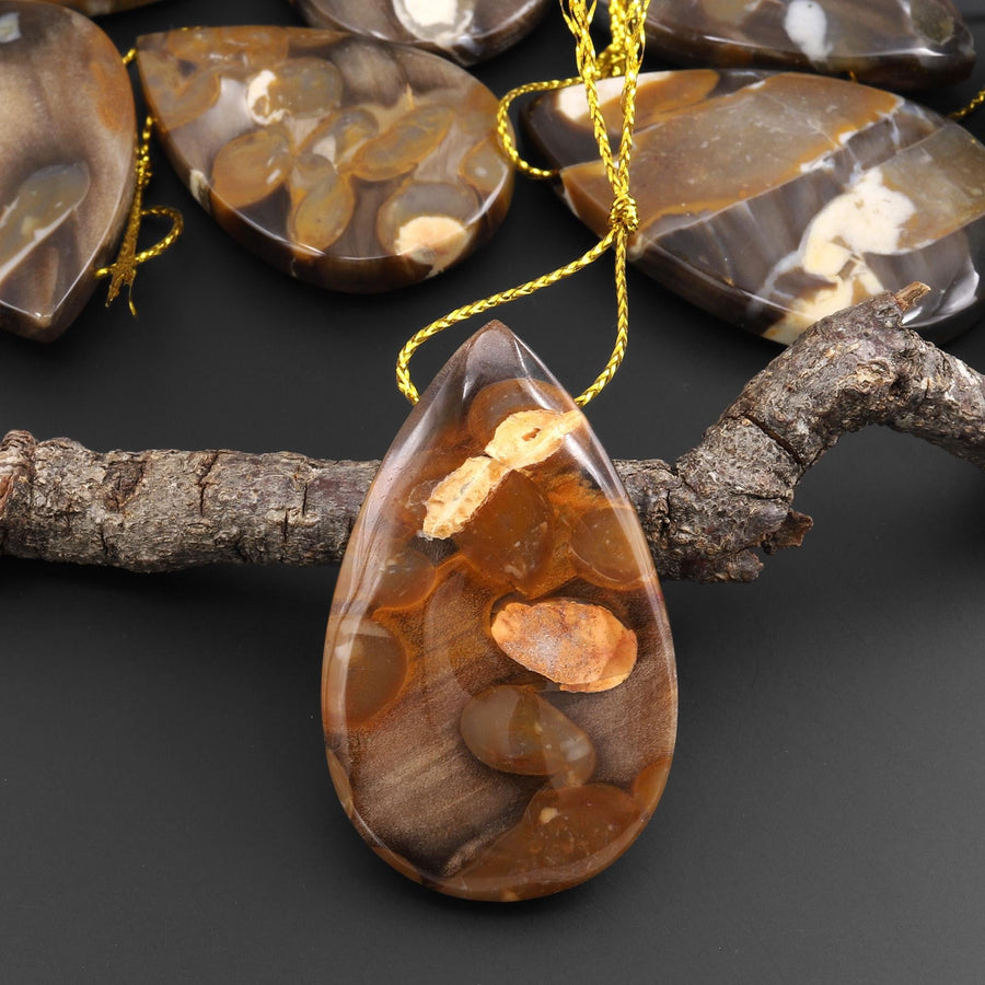 Rare Natural Australian Peanut Wood Top Side Drilled Teardrop Pendant A4
