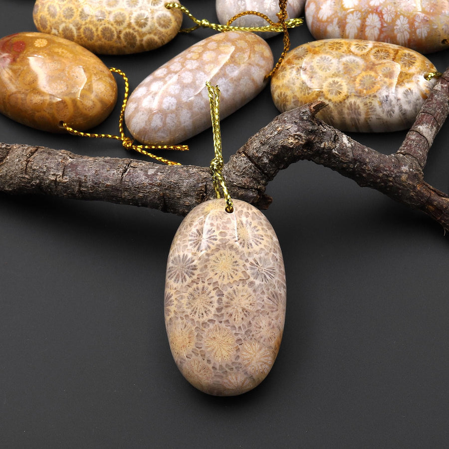 AAA Natural Fossil Coral Oval Gemstone Pendant A4