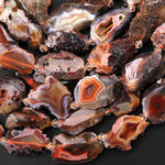 Faceted Natural Condor Agate Beads Freeform Geode Slice Rustic Looking 15.5" Strand