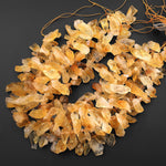 Raw Natural Yellow Citrine Beads Freeform Top Drilled Spike Point 15.5" Strand