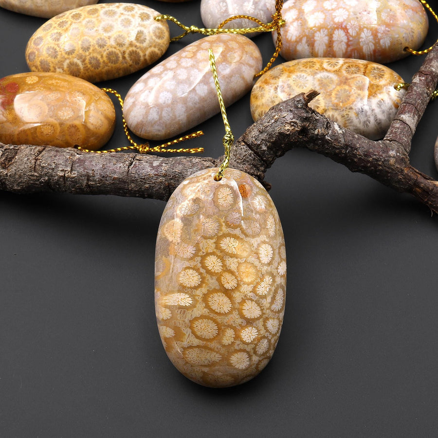 AAA Natural Fossil Coral Oval Gemstone Pendant A2