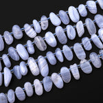 Natural Blue Lace Agate Freeform Oval Drop Beads Top Side Drilled Gemstone 15.5" Strand