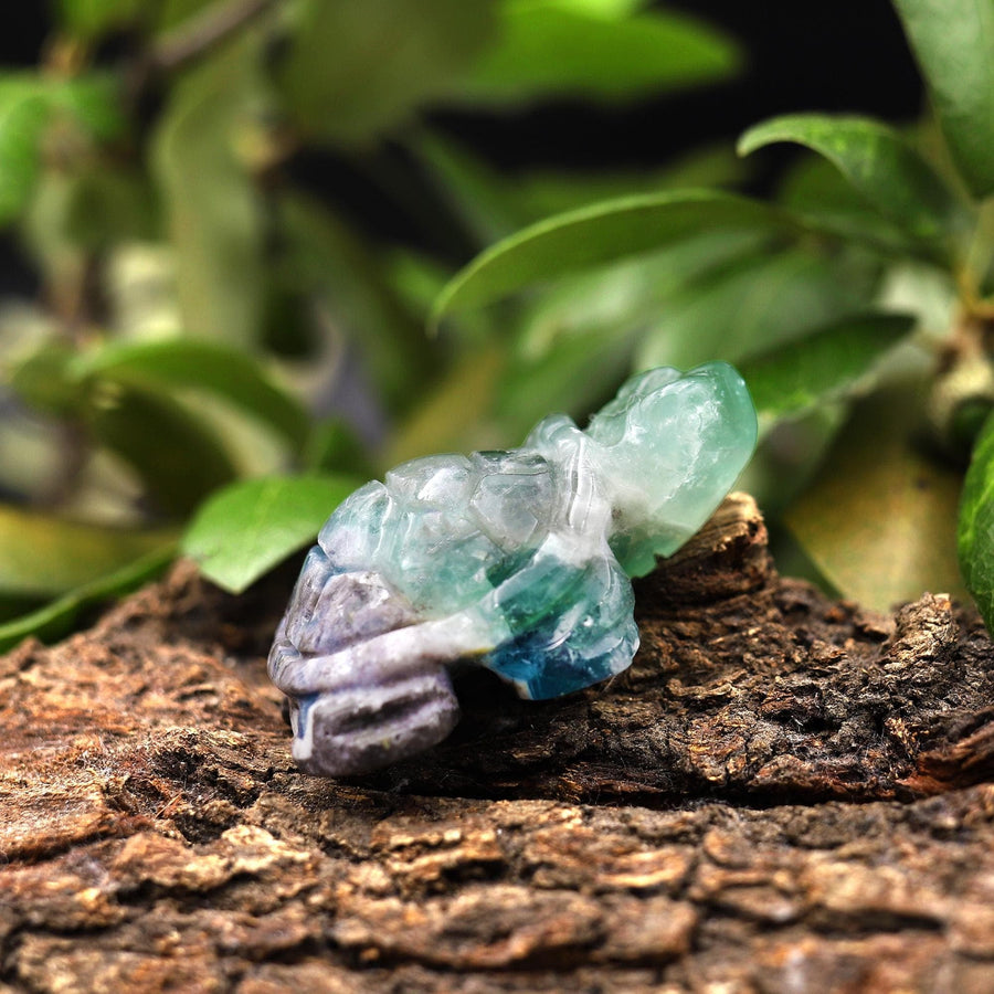 Hand-Carved Natural Fluorite Turtle Figurine Crystal Miniature A3