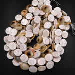 Shiva Eye Shell Beads Raw Organic Natural Fossil Domed Coin Disc Vibrant Green Red Orange Brown Gold Shell Beads 16mm 18mm 20mm 15.5" Strand