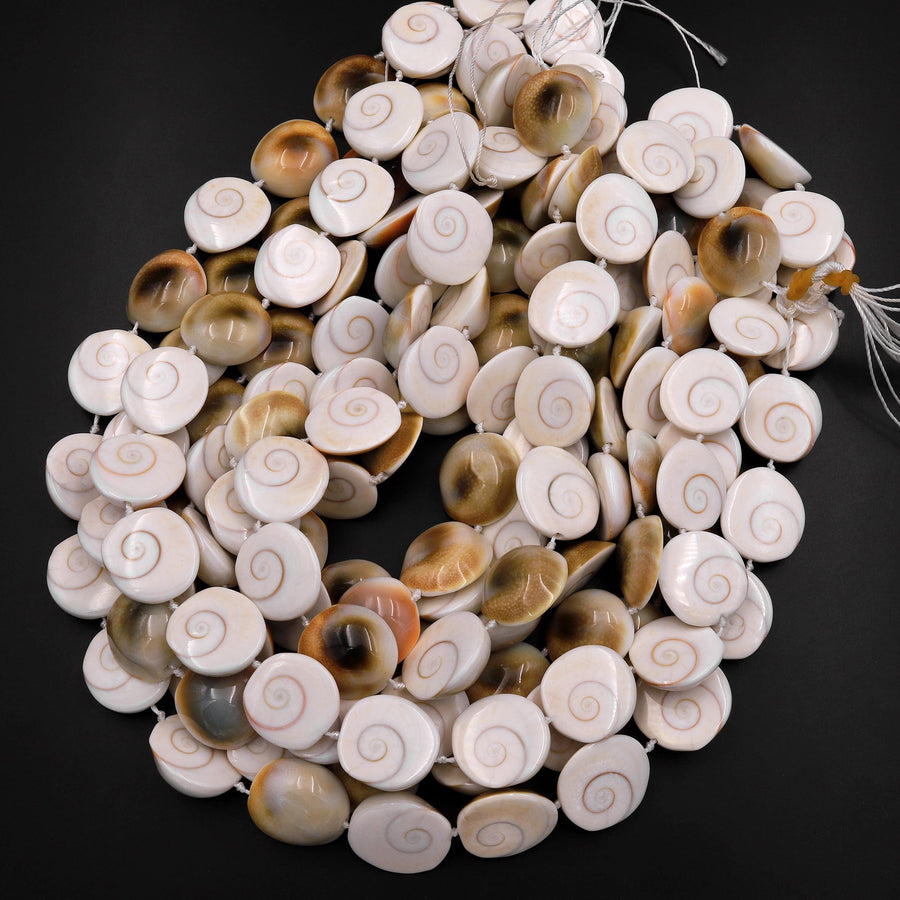 Shiva Eye Shell Beads Raw Organic Natural Fossil Domed Coin Disc Vibrant Green Red Orange Brown Gold Shell Beads 16mm 18mm 20mm 15.5" Strand