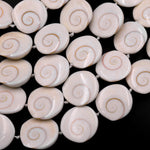 Shiva Eye Shell Beads Raw Organic Natural Fossil Domed Coin Disc Vibrant Green Red Orange Brown Gold Shell Beads 16mm 18mm 20mm 15.5" Strand
