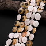 Shiva Eye Shell Beads Raw Organic Natural Fossil Domed Coin Disc Vibrant Green Red Orange Brown Gold Shell Beads 16mm 18mm 20mm 15.5" Strand