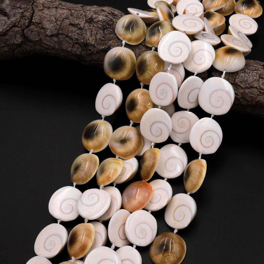 Shiva Eye Shell Beads Raw Organic Natural Fossil Domed Coin Disc Vibrant Green Red Orange Brown Gold Shell Beads 16mm 18mm 20mm 15.5" Strand