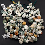 Natural Ocean Jasper Beads Raw Druzy Drusy Freeform Nuggets Green Yellow Orbs Eyes High Quality Gemstone 15.5" Strand