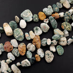 Natural Ocean Jasper Beads Raw Druzy Drusy Freeform Nuggets Green Yellow Orbs Eyes High Quality Gemstone 15.5" Strand