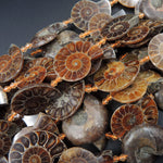 Drilled Half Ammonite Fossil Slice Beads 30mm 35mm 40mm Vertically Drilled Real Genuine Ancient Natural Fossil Pendant Focal Bead 16" Strand