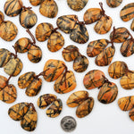 Drilled Rare Natural Utah Black Feather Jasper Earring Cabochon Cab Pair Freeform Matched Bead Pair American Jasper