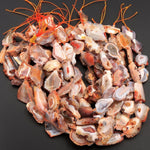 Rare Natural Condor Agate Beads Large Faceted Focal Pendant Quality Freeform Geode Slice Shape 15.5" Strand