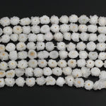 Full Strand Natural Solar Quartz Flower Slice Stalactite Flower Beads Drilled Freeform Daisy Flower Perfect for Earrings Beads 16" Strand