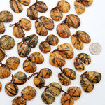 Drilled Rare Natural Utah Black Feather Jasper Earring Cabochon Cab Pair Freeform Matched Bead Pair American Jasper