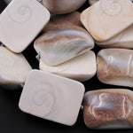 Large Shiva Eye Shell Beads Domed Rectangle Focal Pendant 16" Strand