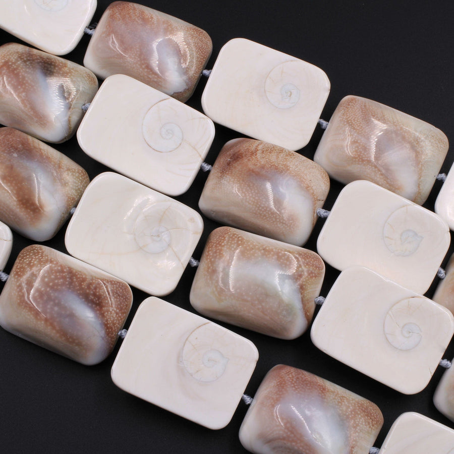 Large Shiva Eye Shell Beads Domed Rectangle Focal Pendant 16" Strand