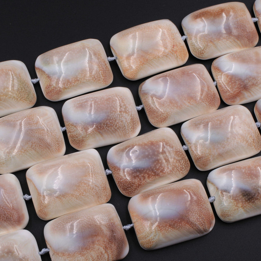 Large Shiva Eye Shell Beads Domed Rectangle Focal Pendant 16" Strand