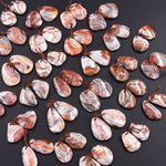 Drilled Laguna Lace Agate Freeform Earring Matched Gemstone Cabochon Stone Bead Pair