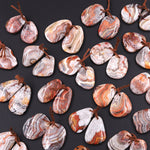 Drilled Laguna Lace Agate Freeform Earring Matched Gemstone Cabochon Stone Bead Pair