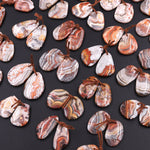 Drilled Laguna Lace Agate Freeform Earring Matched Gemstone Cabochon Stone Bead Pair