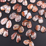 Drilled Laguna Lace Agate Freeform Earring Matched Gemstone Cabochon Stone Bead Pair