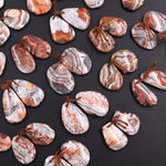 Drilled Laguna Lace Agate Freeform Earring Matched Gemstone Cabochon Stone Bead Pair
