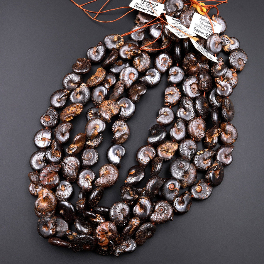 Natural Dark Brown Ammonite Fossil Beads Vertically Drilled Whole Ammonite Pendant Focal Bead 15.5" Strand