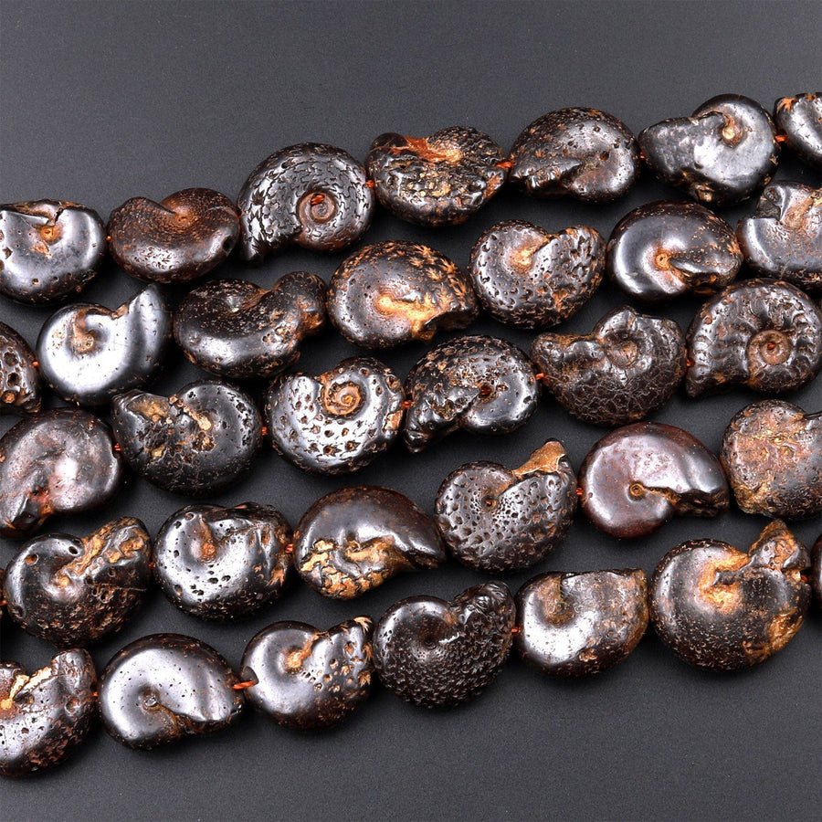 Natural Dark Brown Ammonite Fossil Beads Vertically Drilled Whole Ammonite Pendant Focal Bead 15.5" Strand