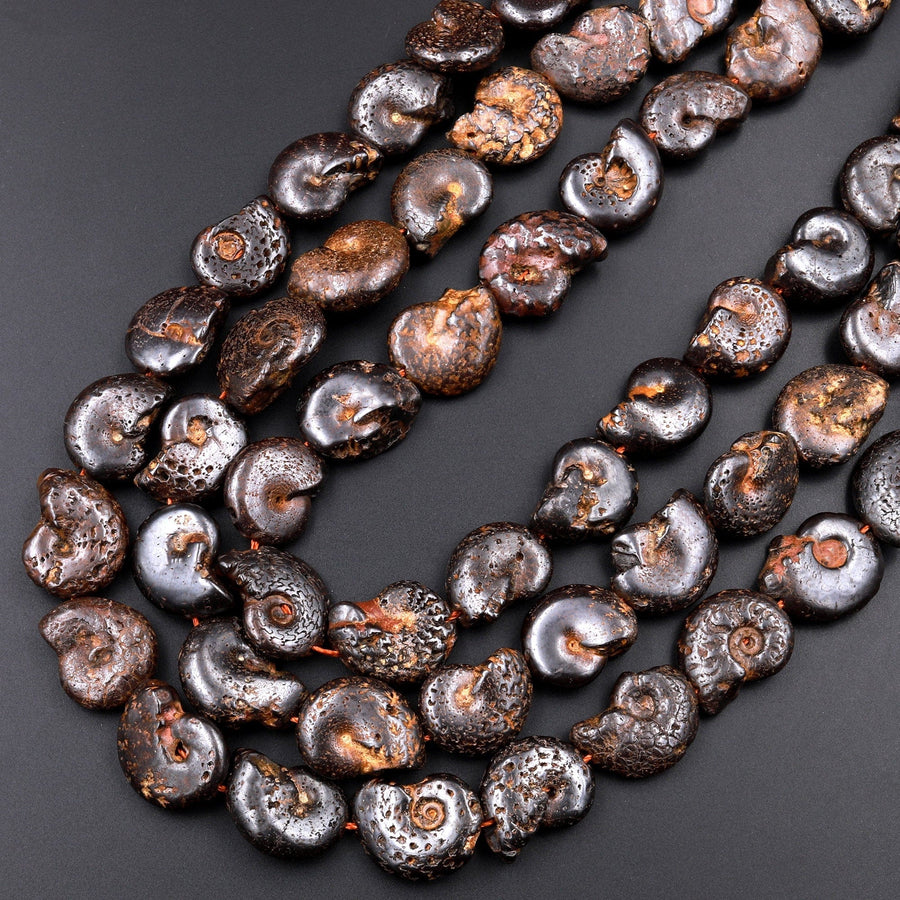 Natural Dark Brown Ammonite Fossil Beads Vertically Drilled Whole Ammonite Pendant Focal Bead 15.5" Strand