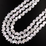 AAA Iridescent Carved Natural White Mother of Pearl Shell Moon Beads 12mm 15.5" Strand