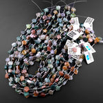 Carved Fetish Bear Natural Bloodstone 10mm x 8mm Beads 15.5" Strand