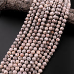 Natural Fossil Crinoid Round Beads 6mm 8mm 10mm 12mm Earthy Gray Beige Slate Gemstone 15.5" Strand