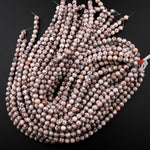 Natural Fossil Crinoid Round Beads 6mm 8mm 10mm 12mm Earthy Gray Beige Slate Gemstone 15.5" Strand