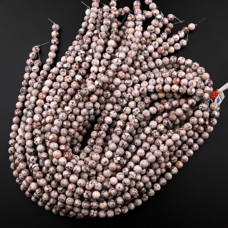 Natural Fossil Crinoid Round Beads 6mm 8mm 10mm 12mm Earthy Gray Beige Slate Gemstone 15.5" Strand