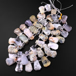 Natural Dendritic Opal Beads Faceted Trapezoid Tapered Teardrop Top Side Drilled Flat Slice Pendant 15.5" Strand
