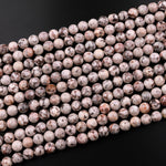 Natural Fossil Crinoid Round Beads 6mm 8mm 10mm 12mm Earthy Gray Beige Slate Gemstone 15.5" Strand