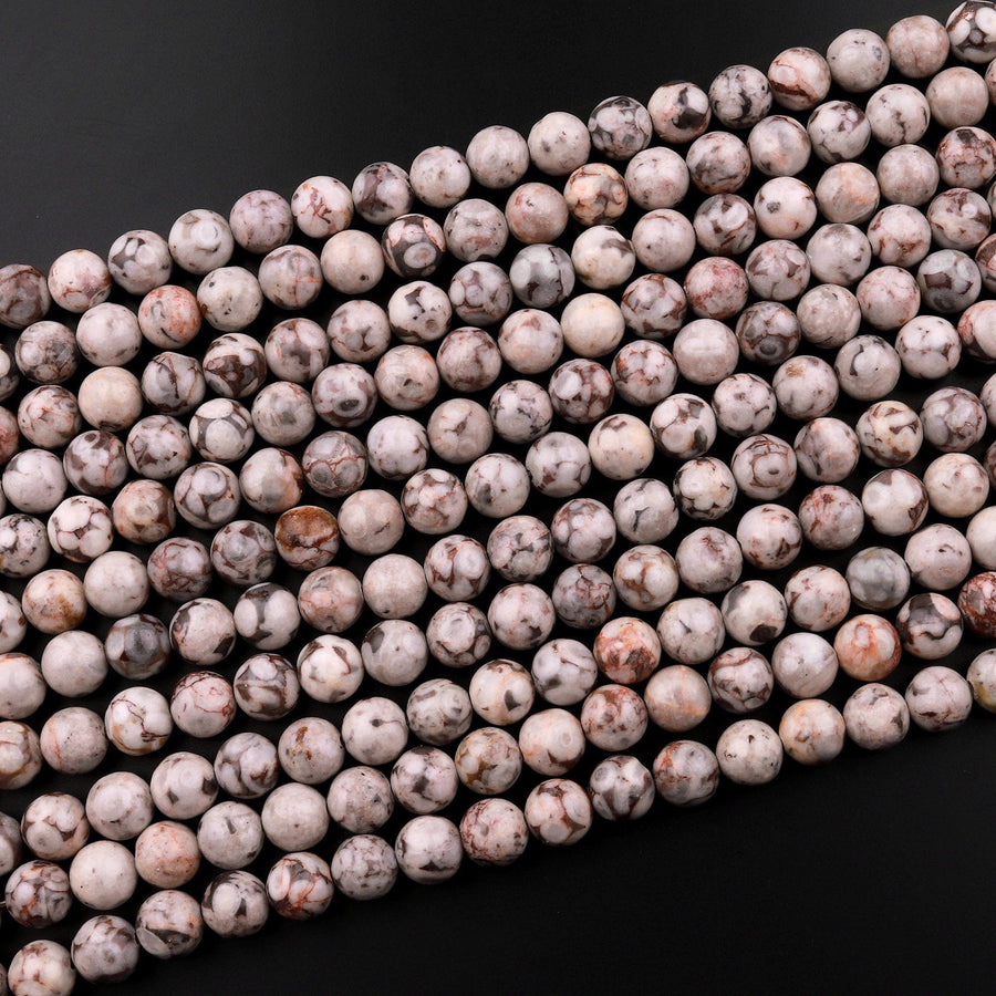 Natural Fossil Crinoid Round Beads 6mm 8mm 10mm 12mm Earthy Gray Beige Slate Gemstone 15.5" Strand