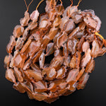 Rare Natural Condor Agate Beads Large Honey Golden Brown Faceted Slice Slab Focal Pendant Freeform Irregular Geode Shape 15.5" Strand