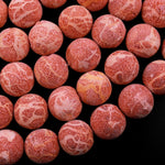 AAA Large Natural Red Sponge Coral Beads 16mm 22mm 24mm Round Beads 15.5" Strand